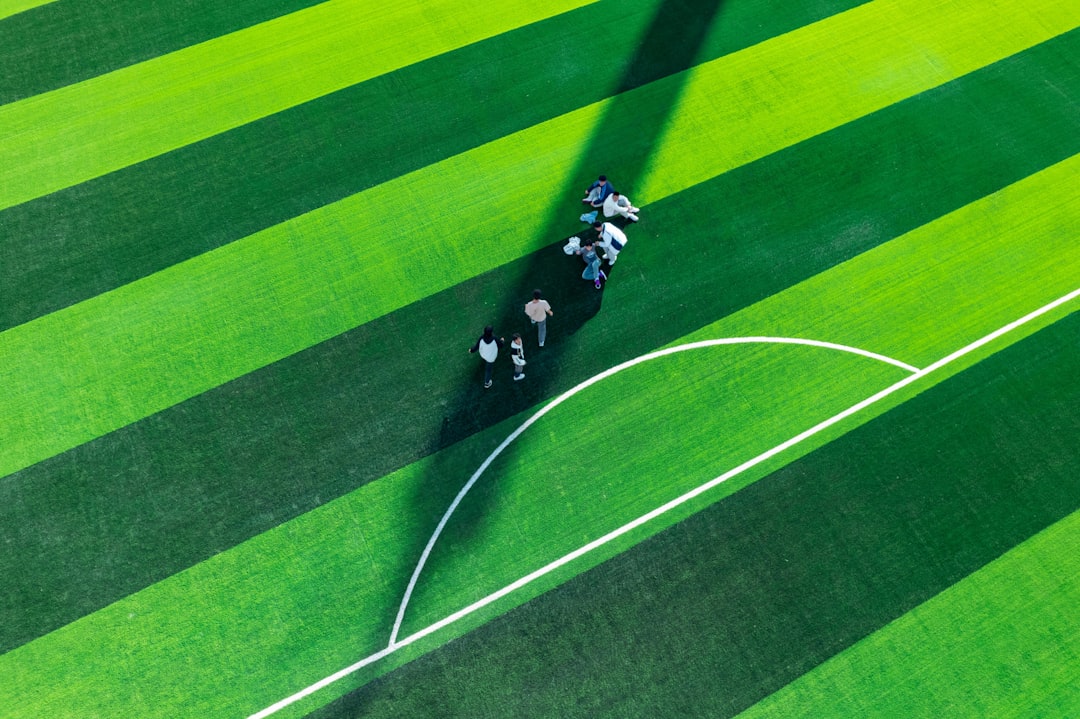 Aerial view of a soccer team on a green field