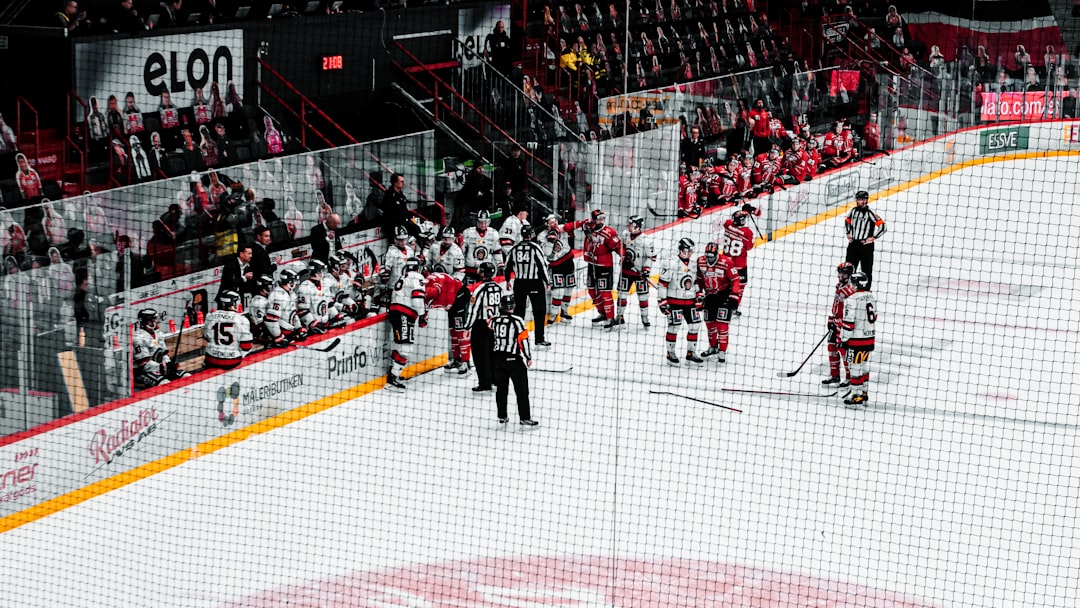 people in ice hockey stadium