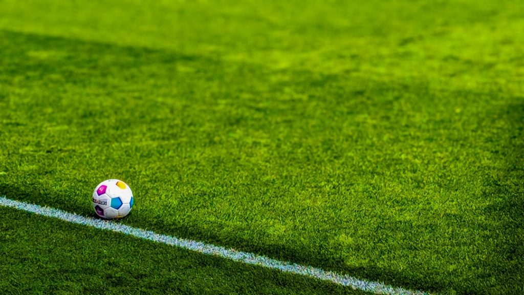 a soccer ball sitting on top of a soccer field