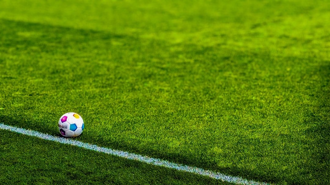 a soccer ball sitting on top of a soccer field