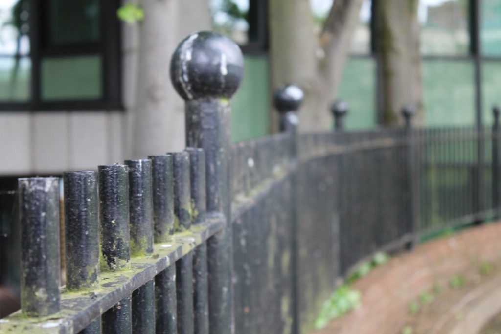 a black iron fence with green moss growing on it