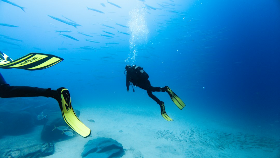 A couple of people that are in the water