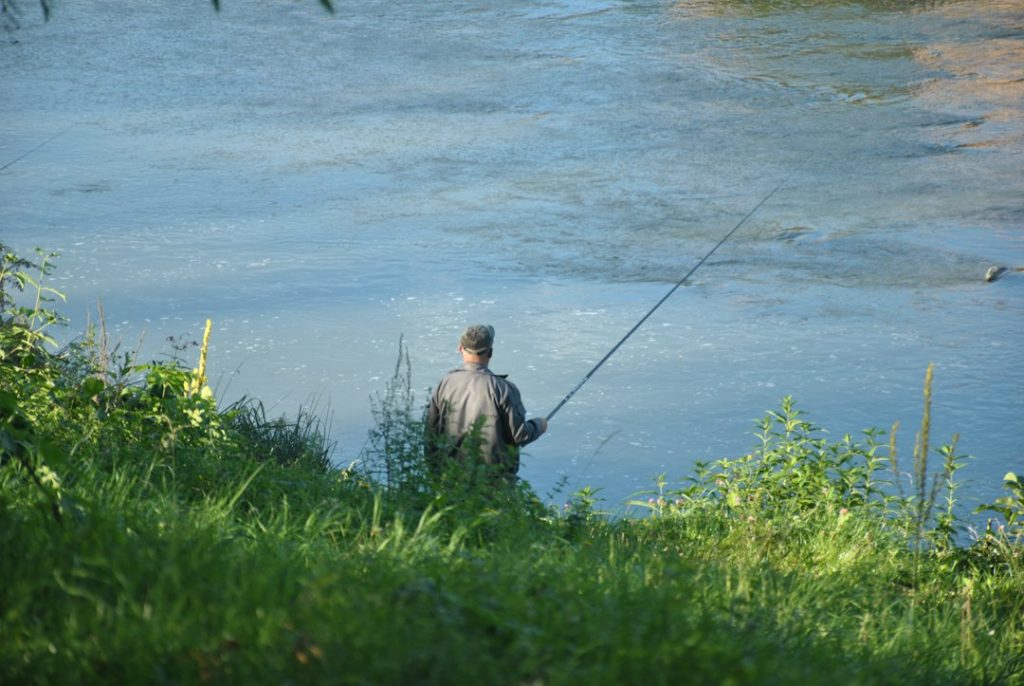 Man fishing on a riverbank with green foliage
