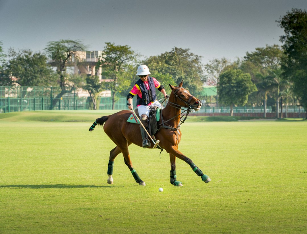 A polo player on a horse hitting a ball
