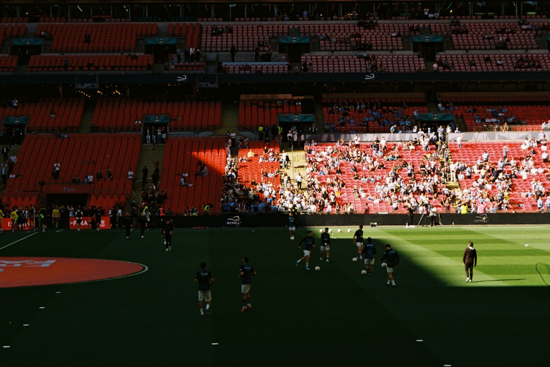 People in a stadium watching a sports game